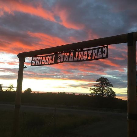Lupine Cabin, Glamour Camping, Stunning Skies And Sunrise Views Монтичелло Экстерьер фото